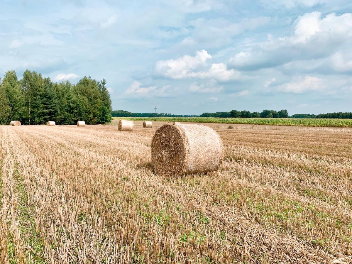 Agroturystyka Sielanka Przasnysz Exteriör bild